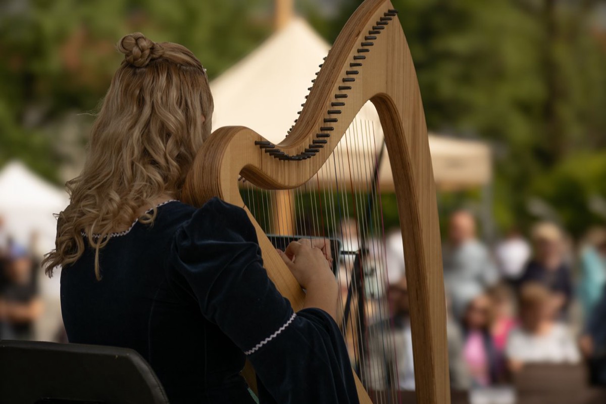 A harpist playing to guests at an outdoor gathering